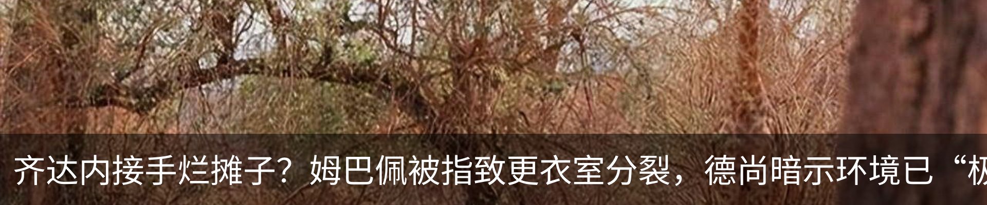 热点资讯